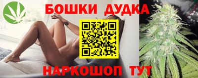 МДПВ Канаш