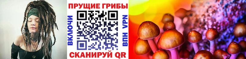 Псилоцибиновые грибы ЛСД МЕГА ССЫЛКА Майский