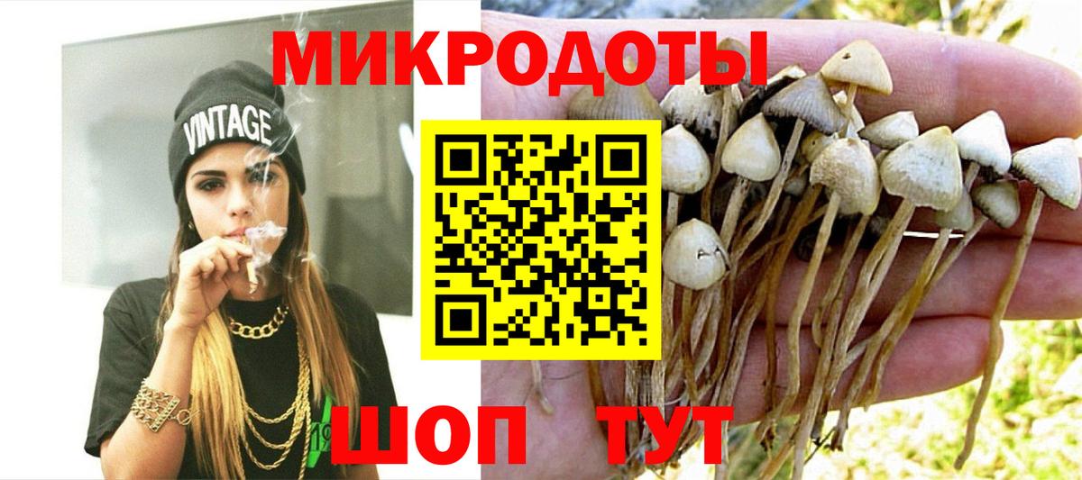 Псилоцибиновые грибы Cubensis  Вход с VPN  Майский  Галлюциногенные грибы MAGIC MUSHROOMS 