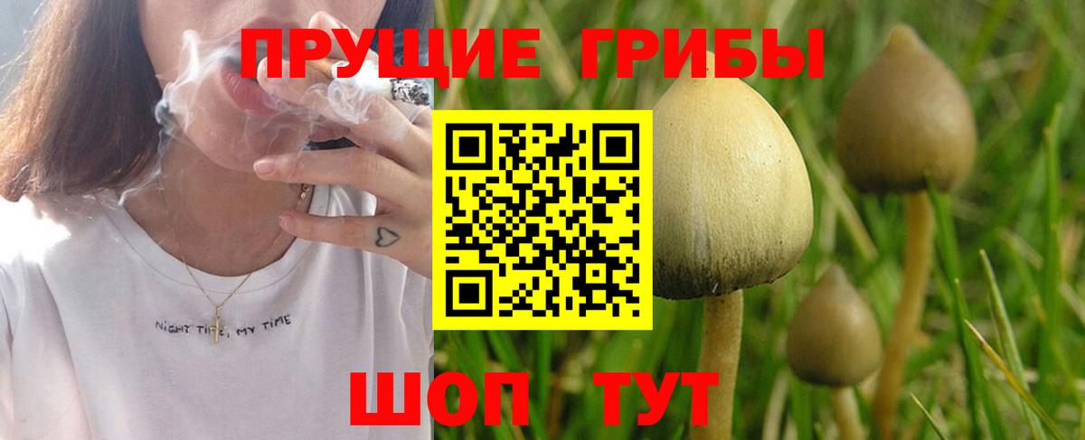 Псилоцибиновые грибы прущие грибы Майский